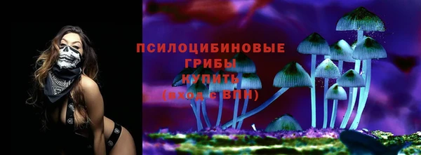 индика Верхнеуральск