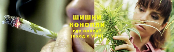 стафф Волоколамск