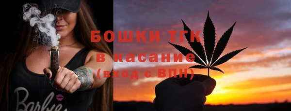 молекула духа Покровск