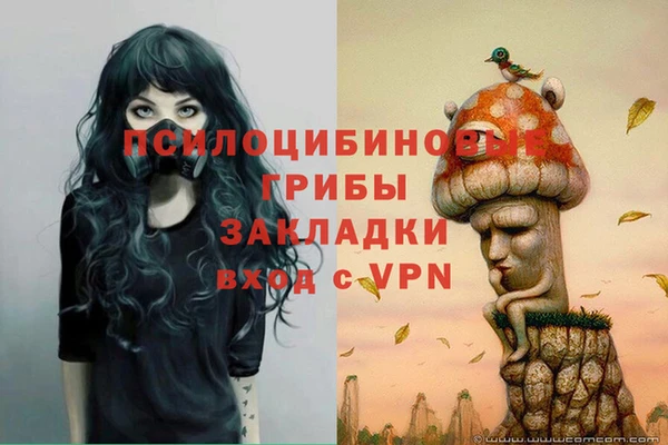 соль курить ск Волосово
