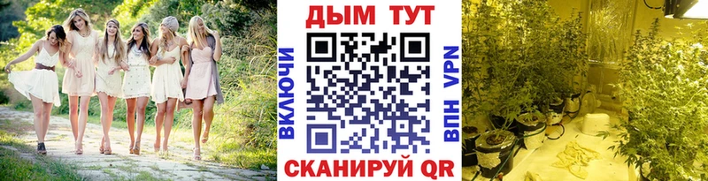 Каннабис Amnesia  Верхнеуральск 
